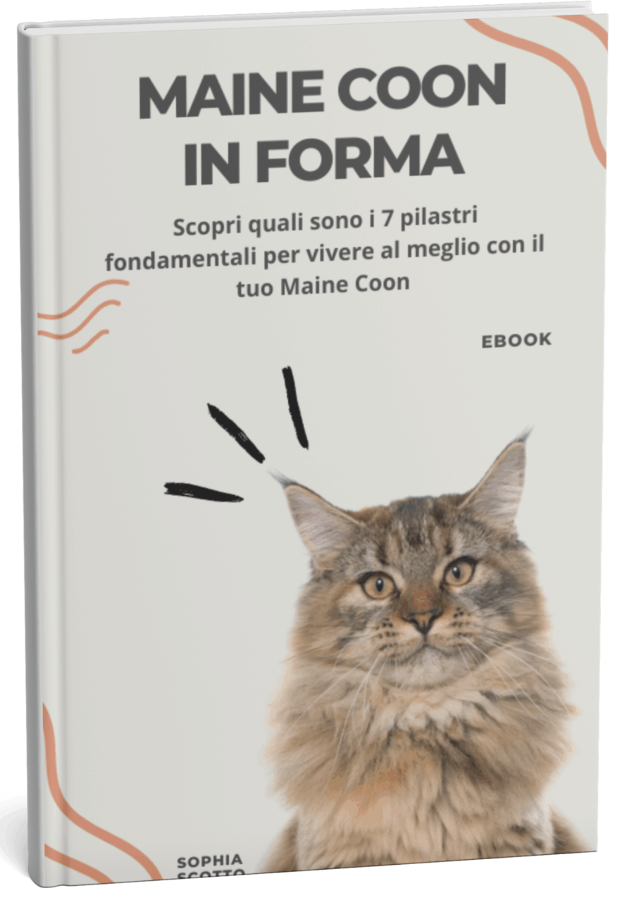 Maine Coon In Forma (Formato Digitale eBook)