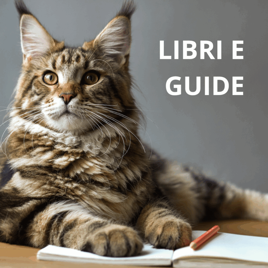 Libri e Guide