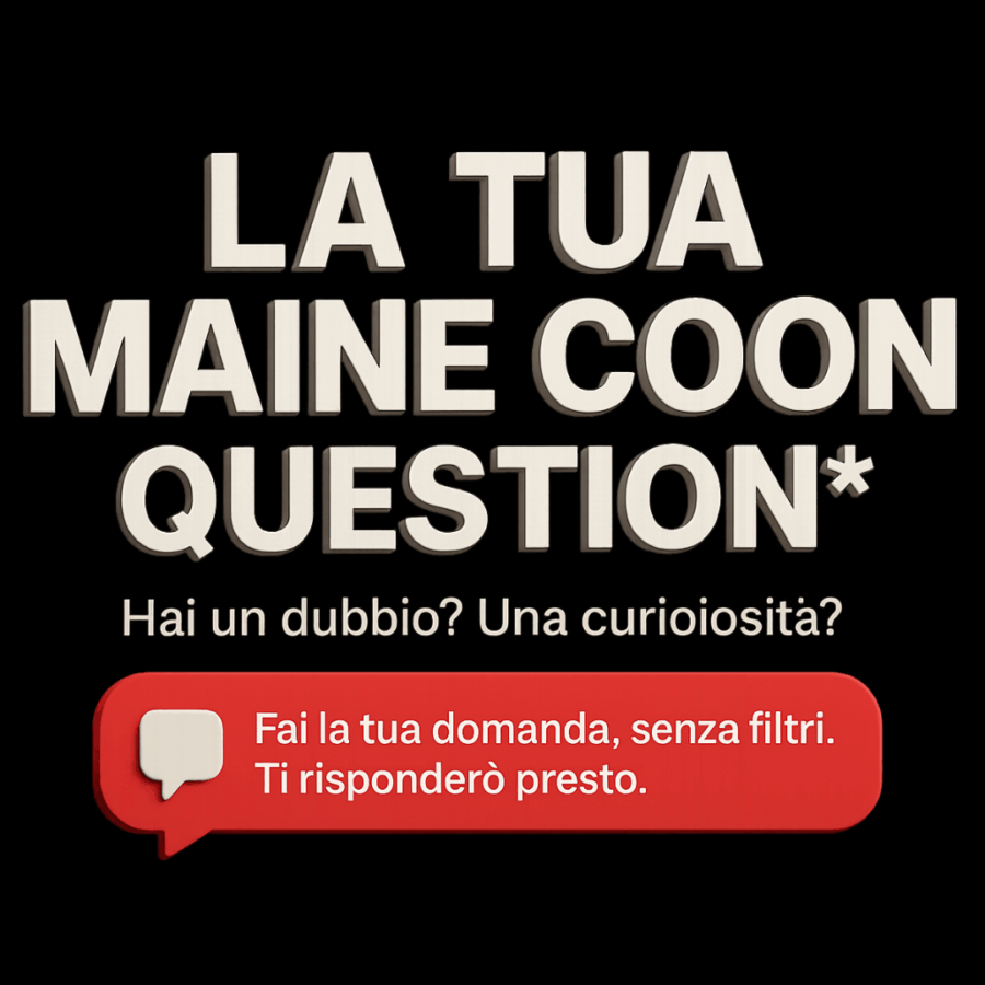 Maine Coon Question (Consulenza via Mail)