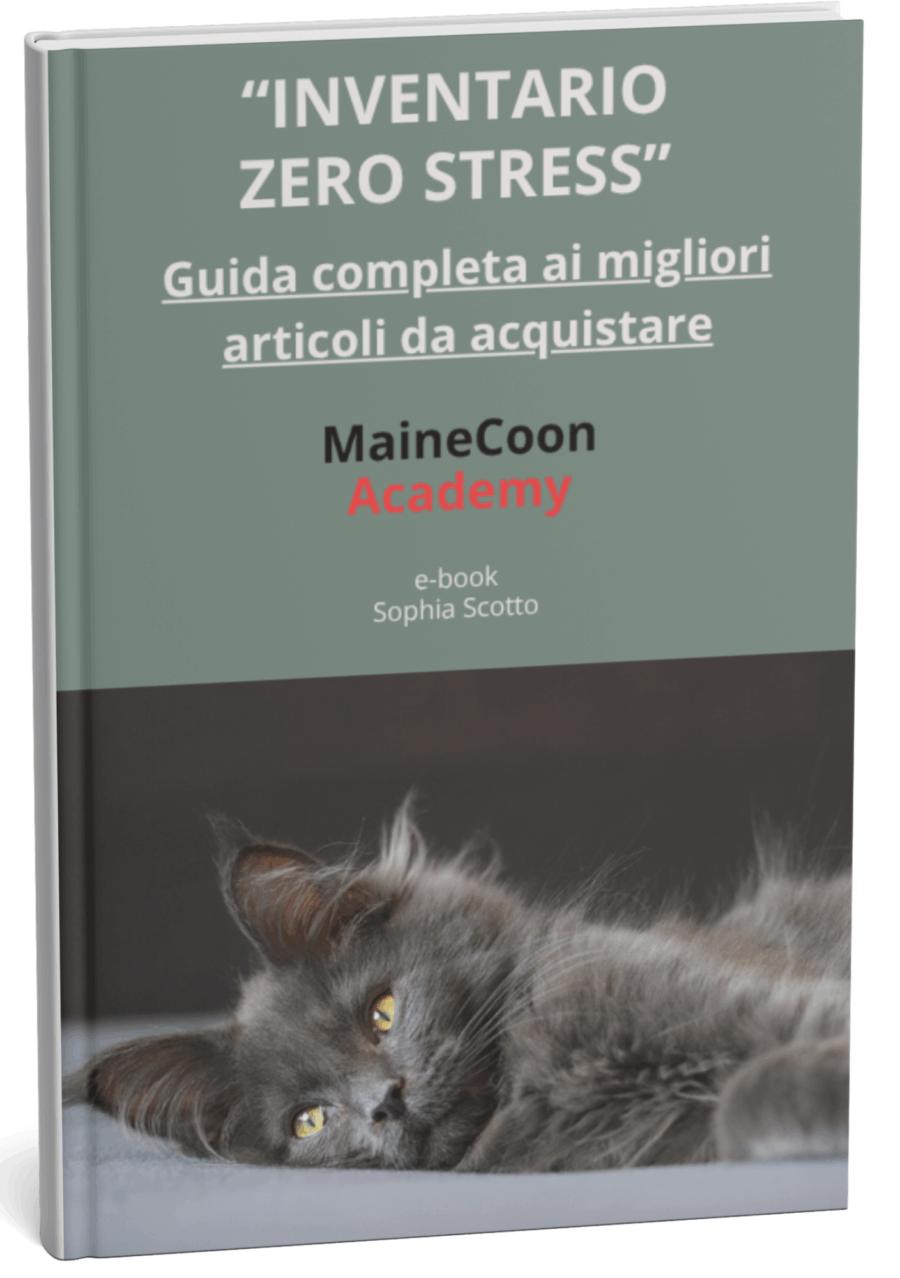 Inventario Zero Stress (Formato Digitale eBook)