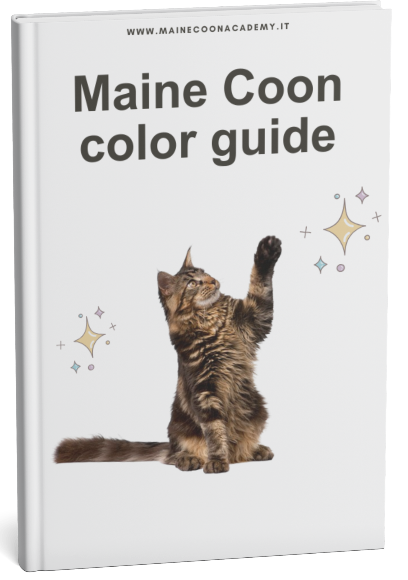 Maine Coon Color Guide (Formato Digitale eBook)