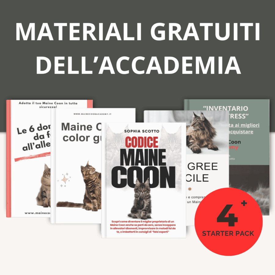 Materiali Gratuiti dell'Accademia